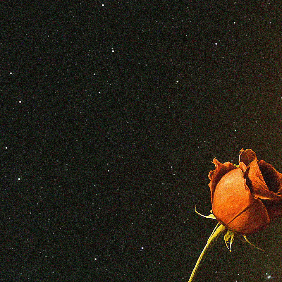 Lonely — cover art 4