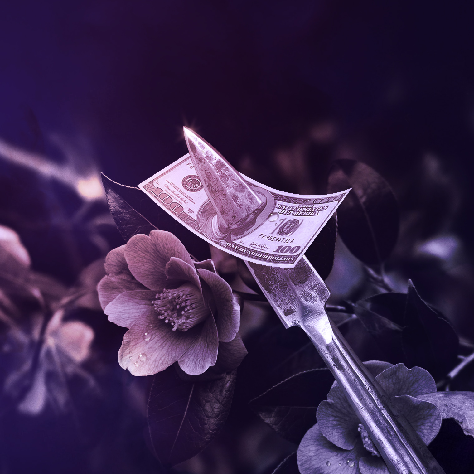 More Money More Problems — cover art 2